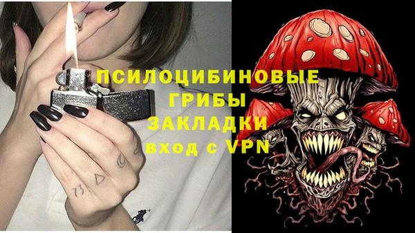 бошки Армянск