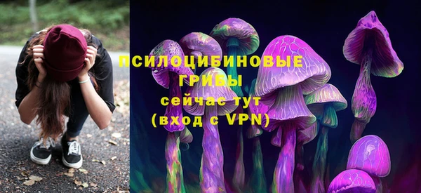 бошки Семикаракорск