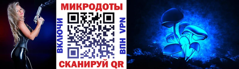 Галлюциногенные грибы Psilocybine cubensis KRAKEN ссылка Нолинск где купить наркоту